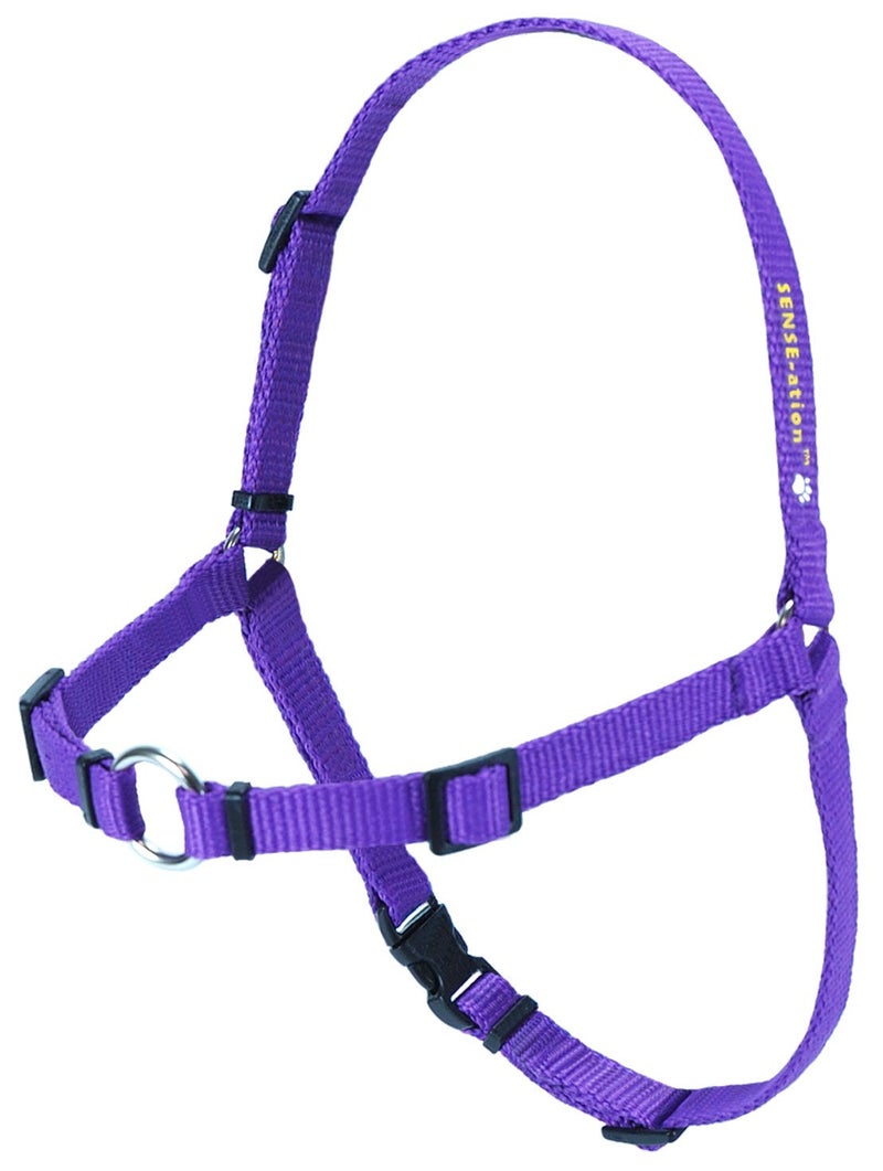 Softouch Sense-ation No-Pull Dog Harness (Purple, Extra Small)